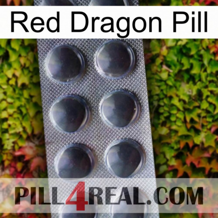 Red Dragon Pill 30